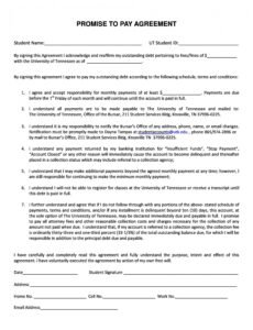 free payment agreement  40 templates &amp;amp; contracts  templatelab take or pay contract template doc