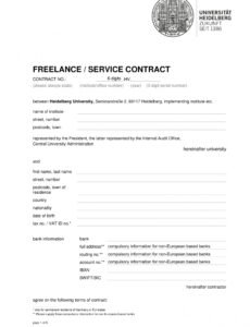 Professional Freelance Software Development Contract Template Excel Sample