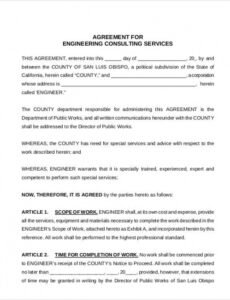 Costum Consulting Services Contract Template Word Sample