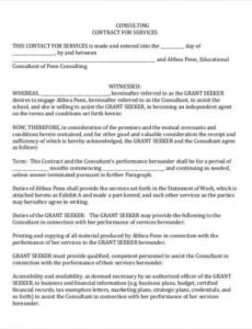 Professional Consulting Services Contract Template Excel