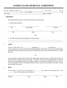 Professional Leasing Contract Template