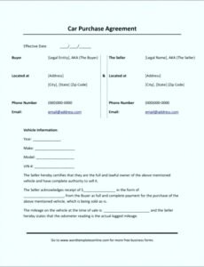 Professional Used Car Contract Template Doc Sample