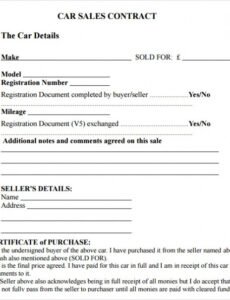 Professional Used Car Contract Template Word Example