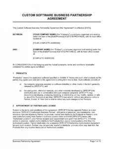 Costum Company Partnership Contract Template Doc Sample