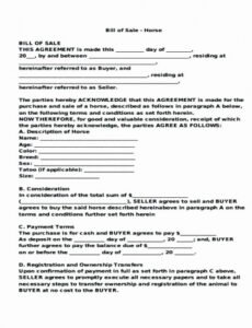 Editable Transfer Of Ownership Contract Template
