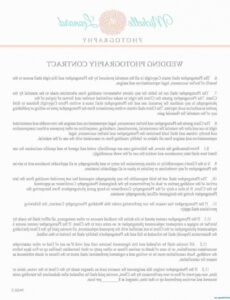 Professional Commissioned Artwork Contract Template Word