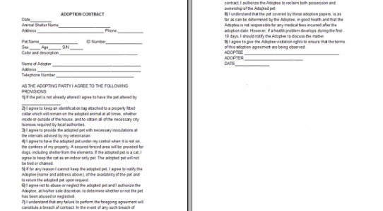 Professional Spay And Neuter Contract Template Excel Example