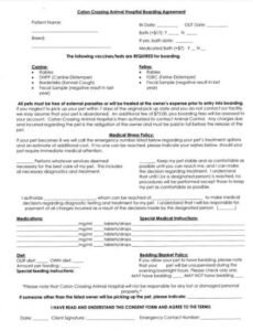 Boarding Contract Template Doc