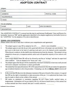 Costum Adoption Contract Template Doc