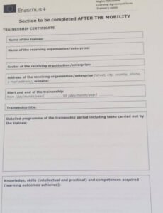 Professional Bilateral Contract Template Doc