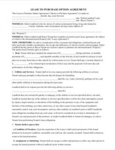 Professional Real Estate Option Contract Template Pdf