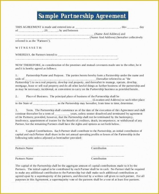 Best CoOwnership Contract Template Word Example Steemfriends