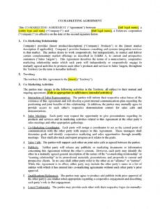 Best Promotion Contract Template Pdf Example