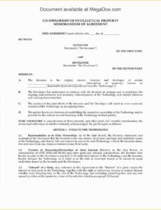 Costum Co-Ownership Contract Template Pdf