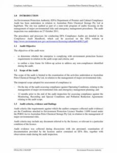 Professional Contract Audit Template Pdf