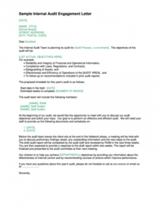 Professional Contract Audit Template Pdf