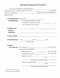 Best Employer Contract Template Pdf Example