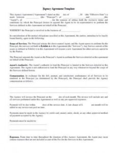 Free Ambassador Contract Template Word Example