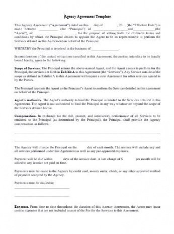 Free Ambassador Contract Template Word Example