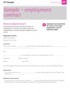 Professional Contract Labor Agreement Template Doc Example