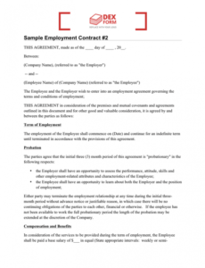 Professional Contract Labor Agreement Template  Sample