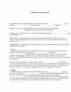 Professional Contract Termination Clause Template Doc Example