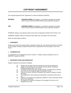 Professional Copyright Contract Template Pdf Sample