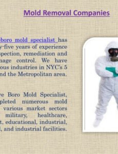 Mold Remediation Contract Template Word