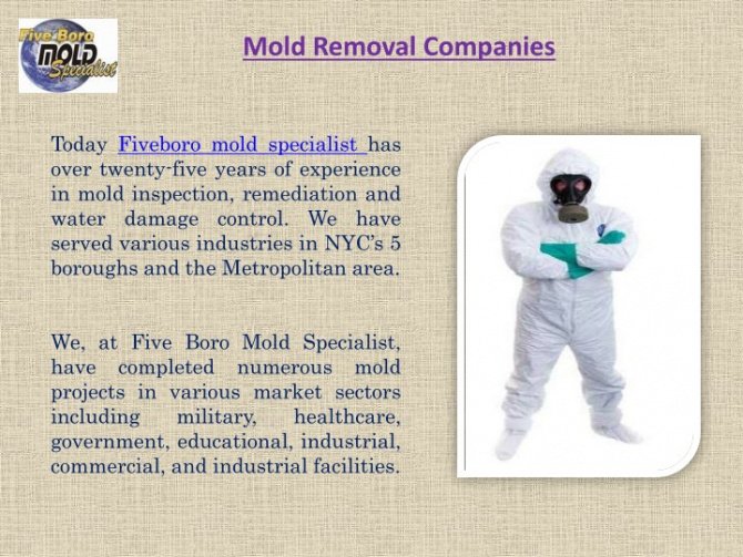 Mold Remediation Contract Template Word
