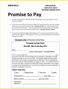 Costum Loan Repayment Contract Template  Example