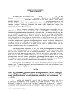 Editable Horse Share Contract Template Doc Example