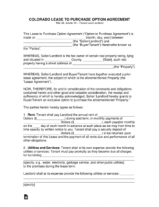 Professional Option To Purchase Agreement Template  Sample