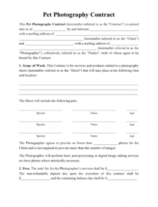 Professional Simple Time And Materials Contract Template Doc Sample