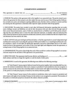 Costum Living Together Contract Template Word Example