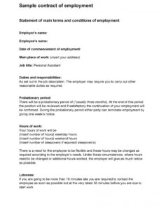 Best South Africa Employment Contract Template  Sample