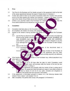 Costum Cacas Employment Contract Template Word Example