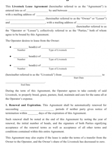 Costum Old Contract Template Doc