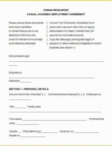 Costum South Africa Employment Contract Template Word
