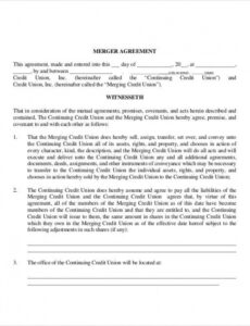 Implementation Contract Template Doc Sample