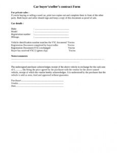 Professional Car Sales Contract Template  Example