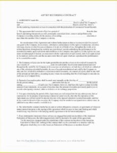 Professional Record Label Contract Template Excel Sample
