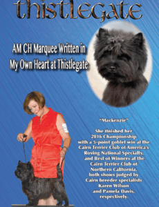 Printable Dog Obituary Template Word Sample