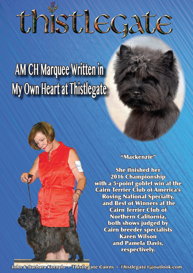 printable-dog-obituary-template-word-sample-steemfriends