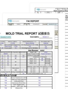 Costum Mold Inspection Template Pdf