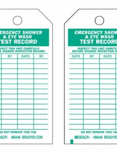 Professional Eye Wash Station Inspection Template  Example