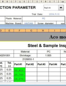 Professional Mold Inspection Template Excel