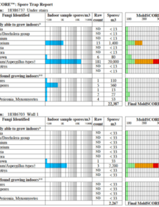 Professional Mold Inspection Template Pdf Example