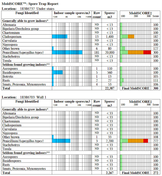 Professional Mold Inspection Template PDF Example Professional Mold Inspection Template Pdf Example