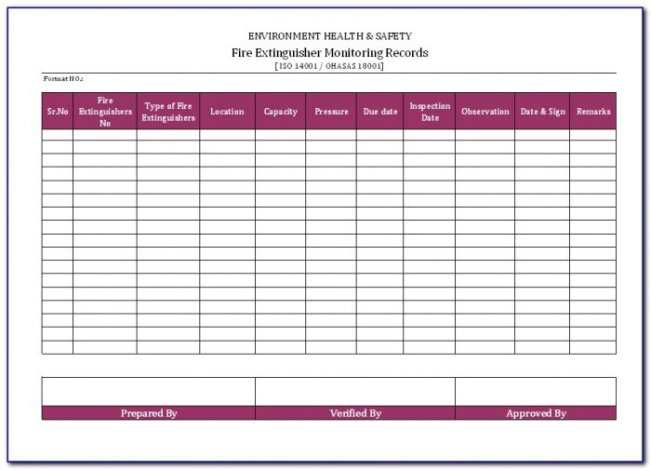 Professional Monthly Fire Extinguisher Inspection Form Template Word Sample