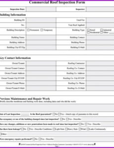 Professional Roof Inspection Form Template Pdf Example